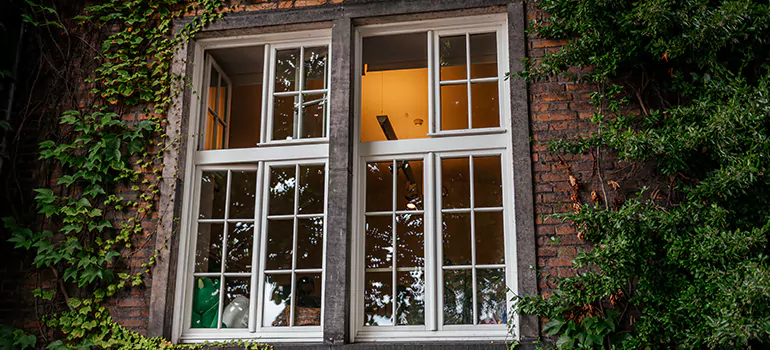 Energy Efficient Wood Windows in Eustis, FL