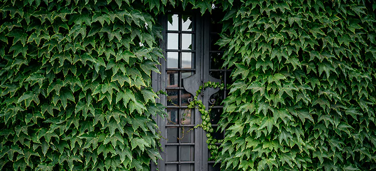 Garden Gate Repair in Eustis, FL