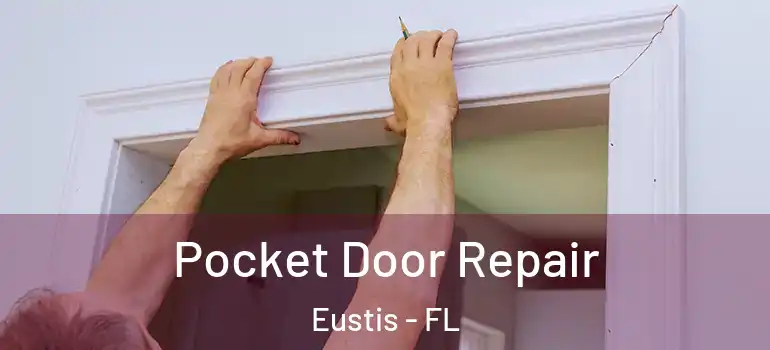  Pocket Door Repair Eustis - FL